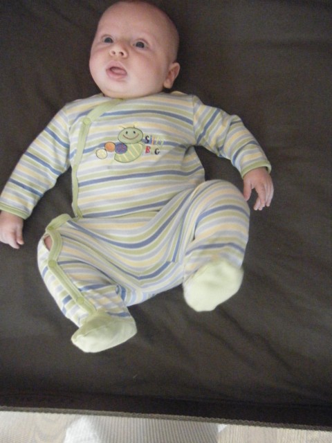 Silly Bug!