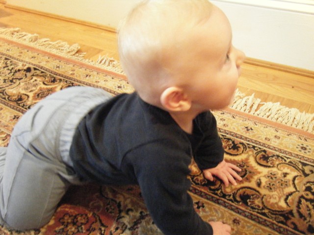 Andy gets up on all fours and rocks back and forth!