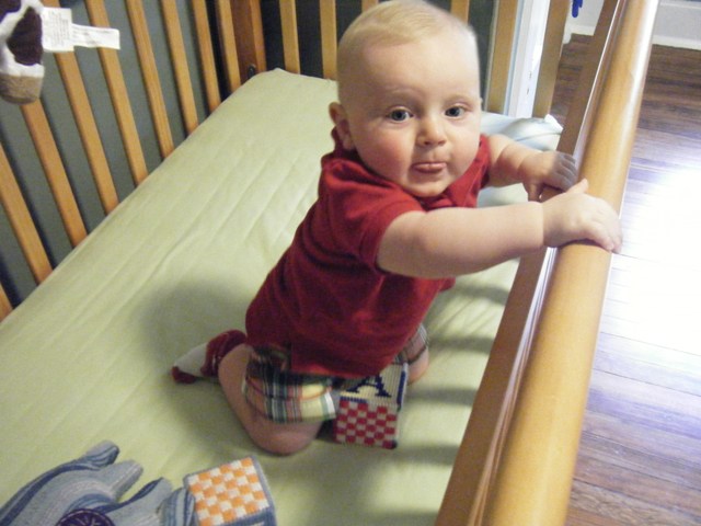 8 Months Old!