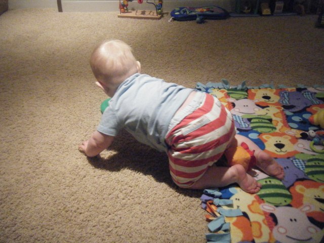 Dino Baby