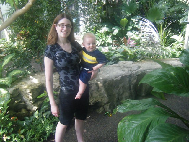 Our first trip to the Butterfly House
