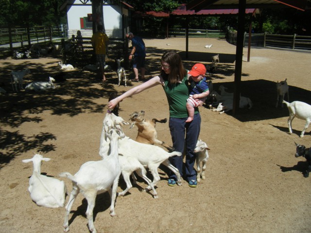 Grant's Farm!