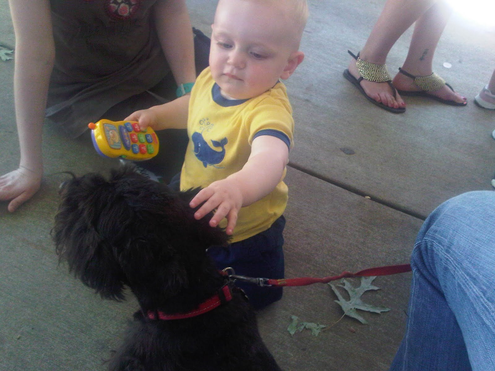 Andy loves dogs. Here he is with Neko.