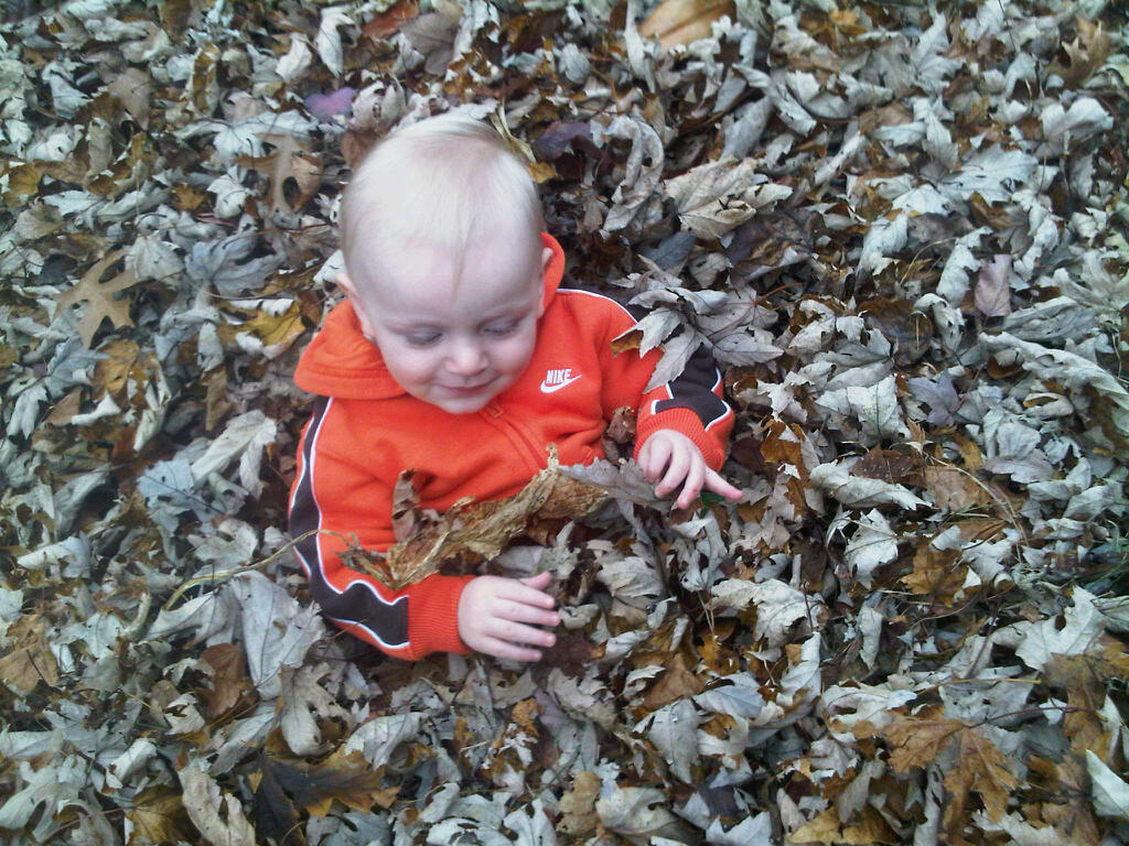 Playing in Leaves