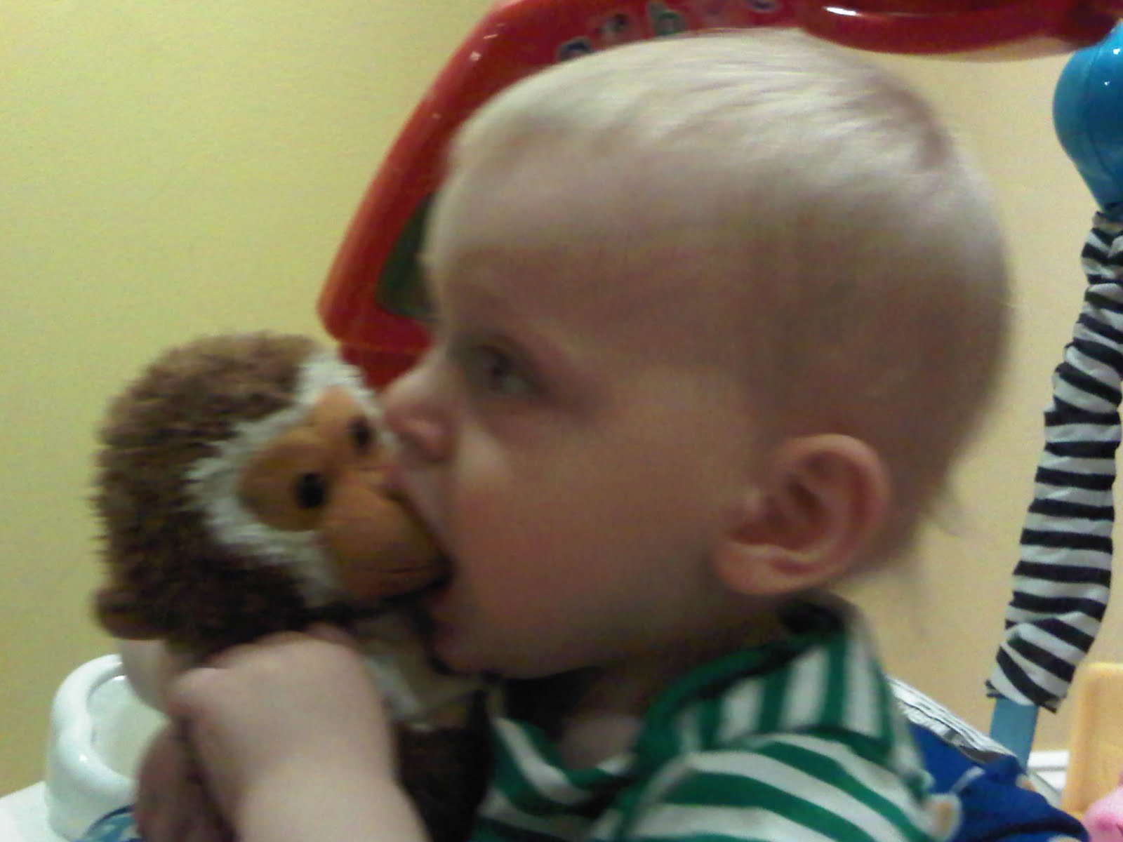 Eating monkey and on the plane