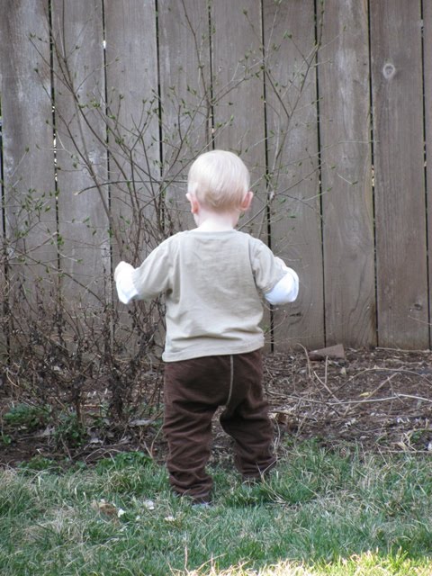Pictures of Andy in our backyard taken by N'Goundo and Miguel