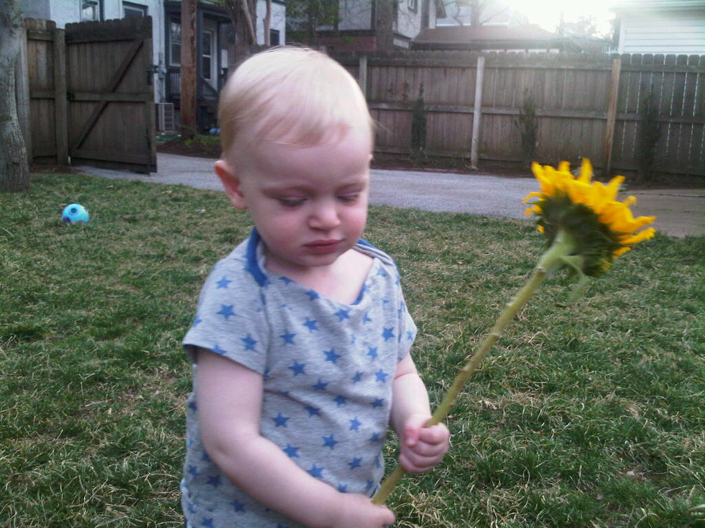 IMG00021-20110321-1810.jpg