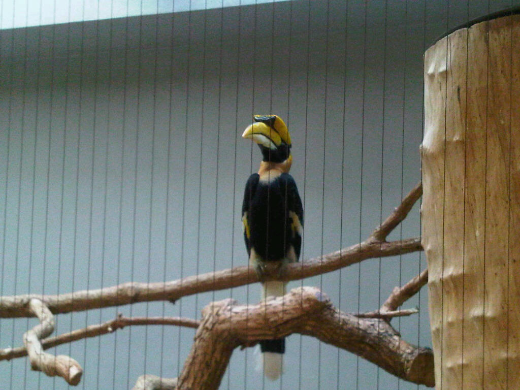 IMG00038-20100905-1358.jpg