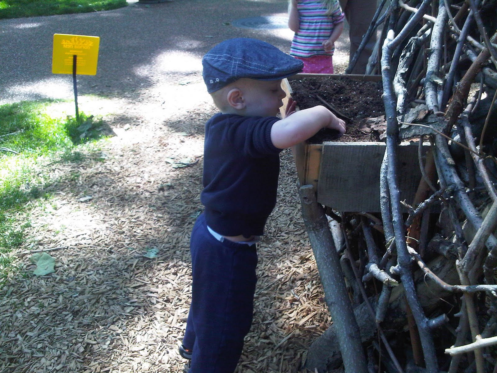 IMG00090-20110518-1034.jpg