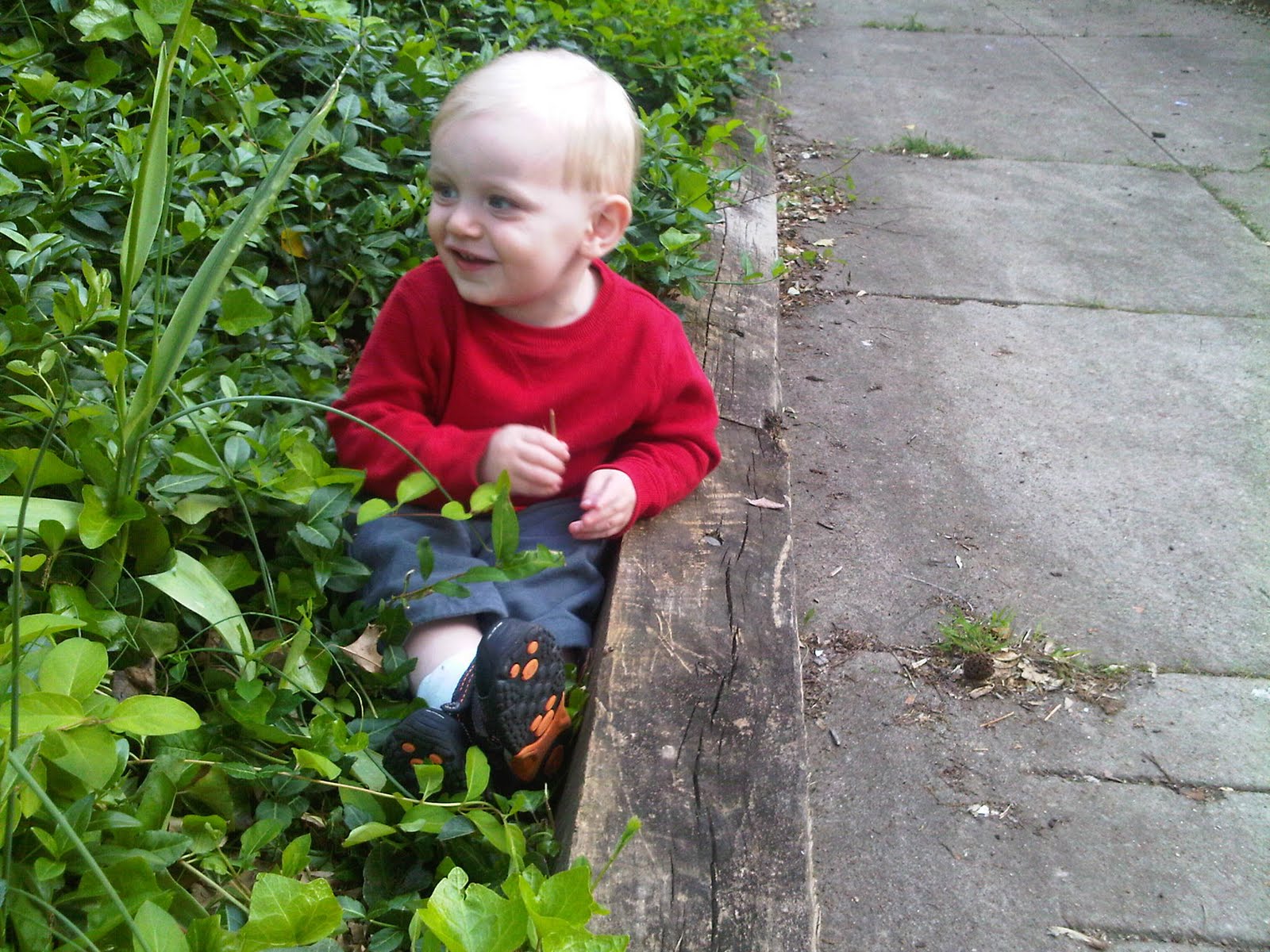 IMG00070-20110506-1849.jpg