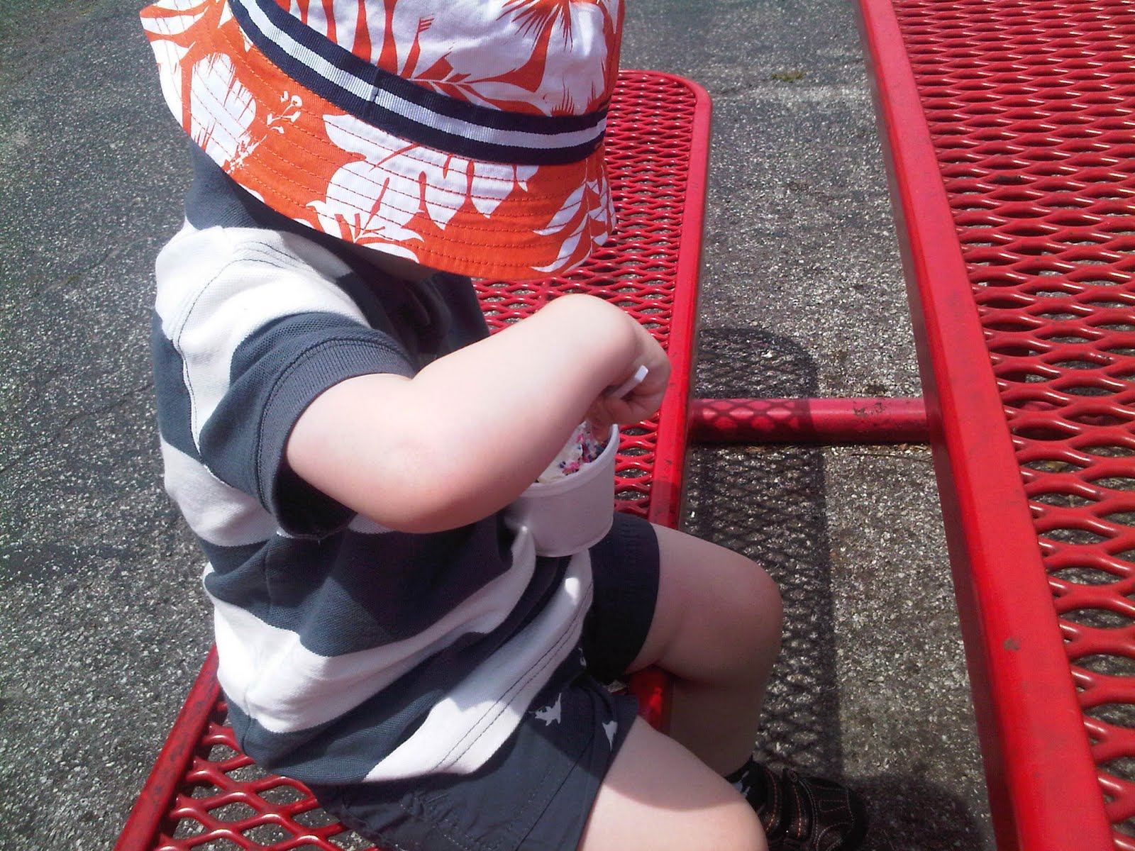 Mr wizards custard with rainbow sprinkles: totally engrossed