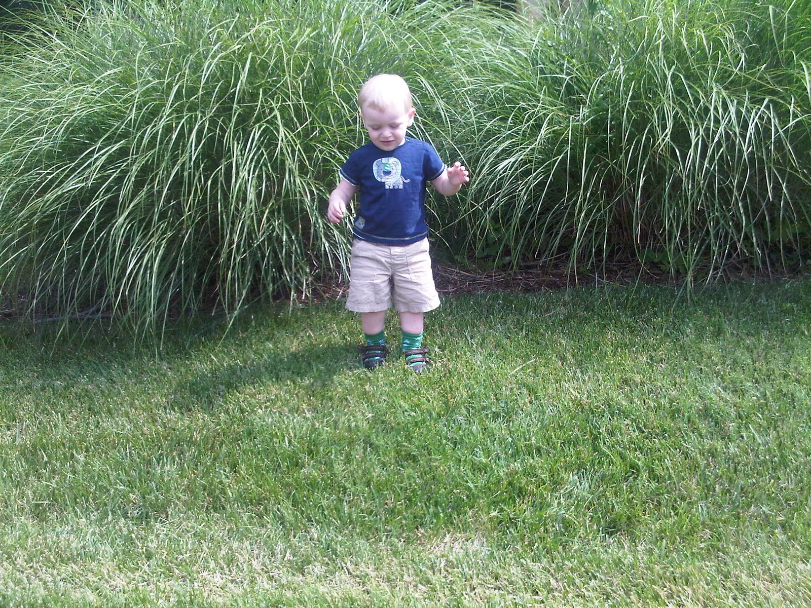 Playing at CRC after Tot Shabbat where Andy danced and clapped to the music
