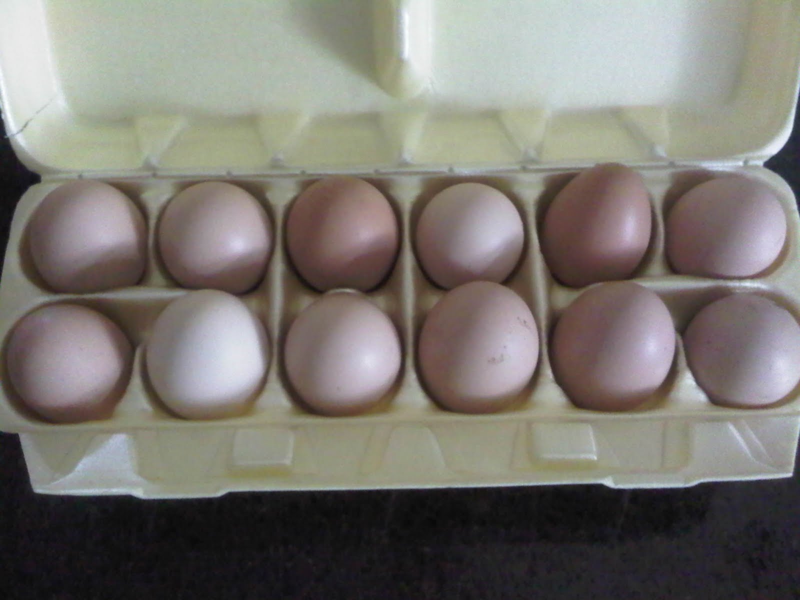 Farm eggs from Crystal!