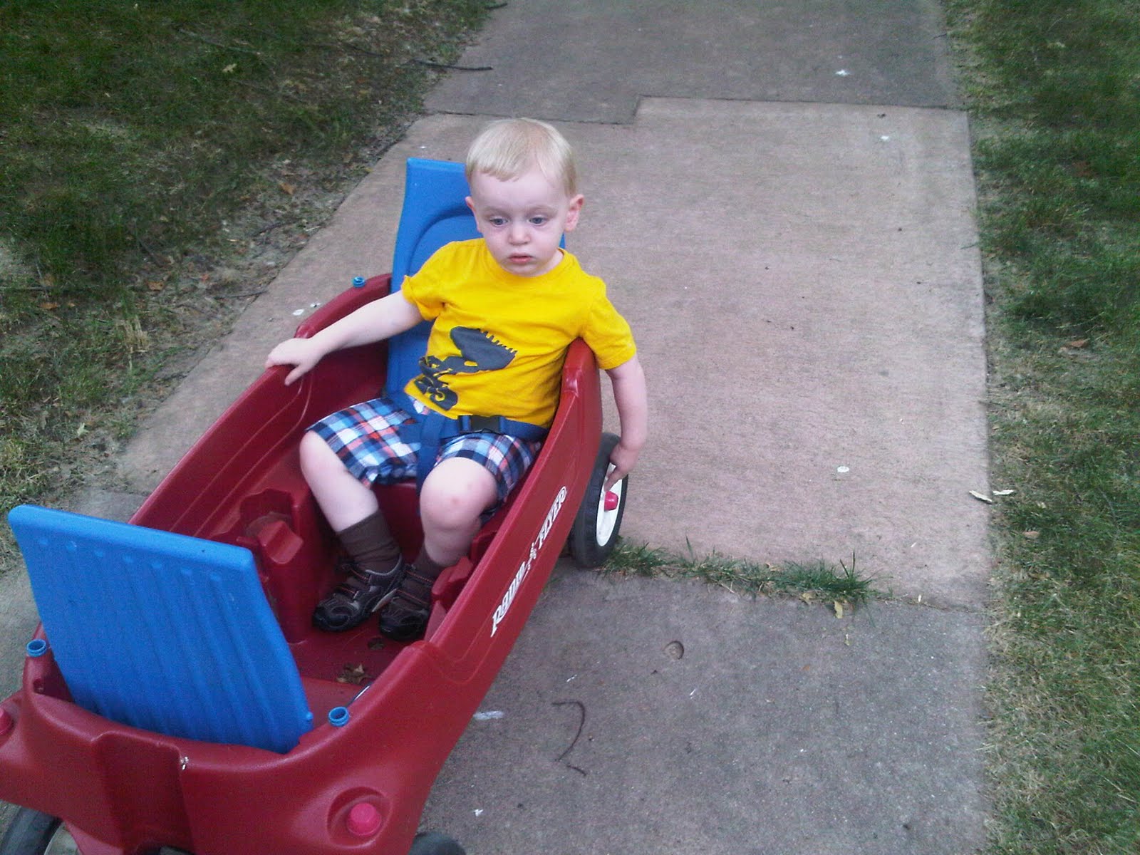 Relaxing in the wagon