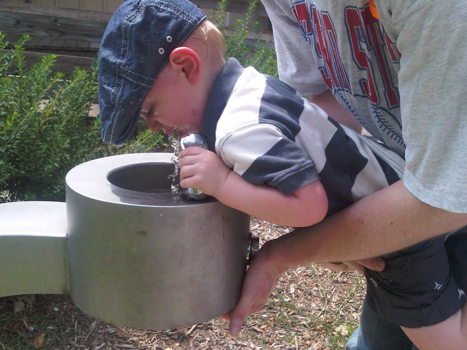 IMG00215-20110703-1131.jpg