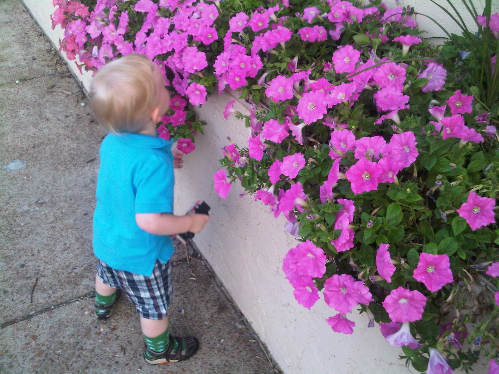 Smelling the flowers