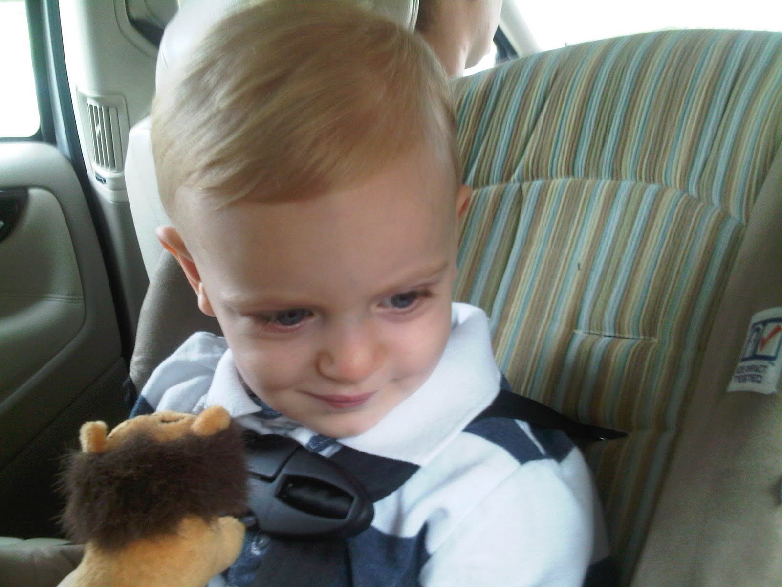 IMG00310-20110730-1033.jpg
