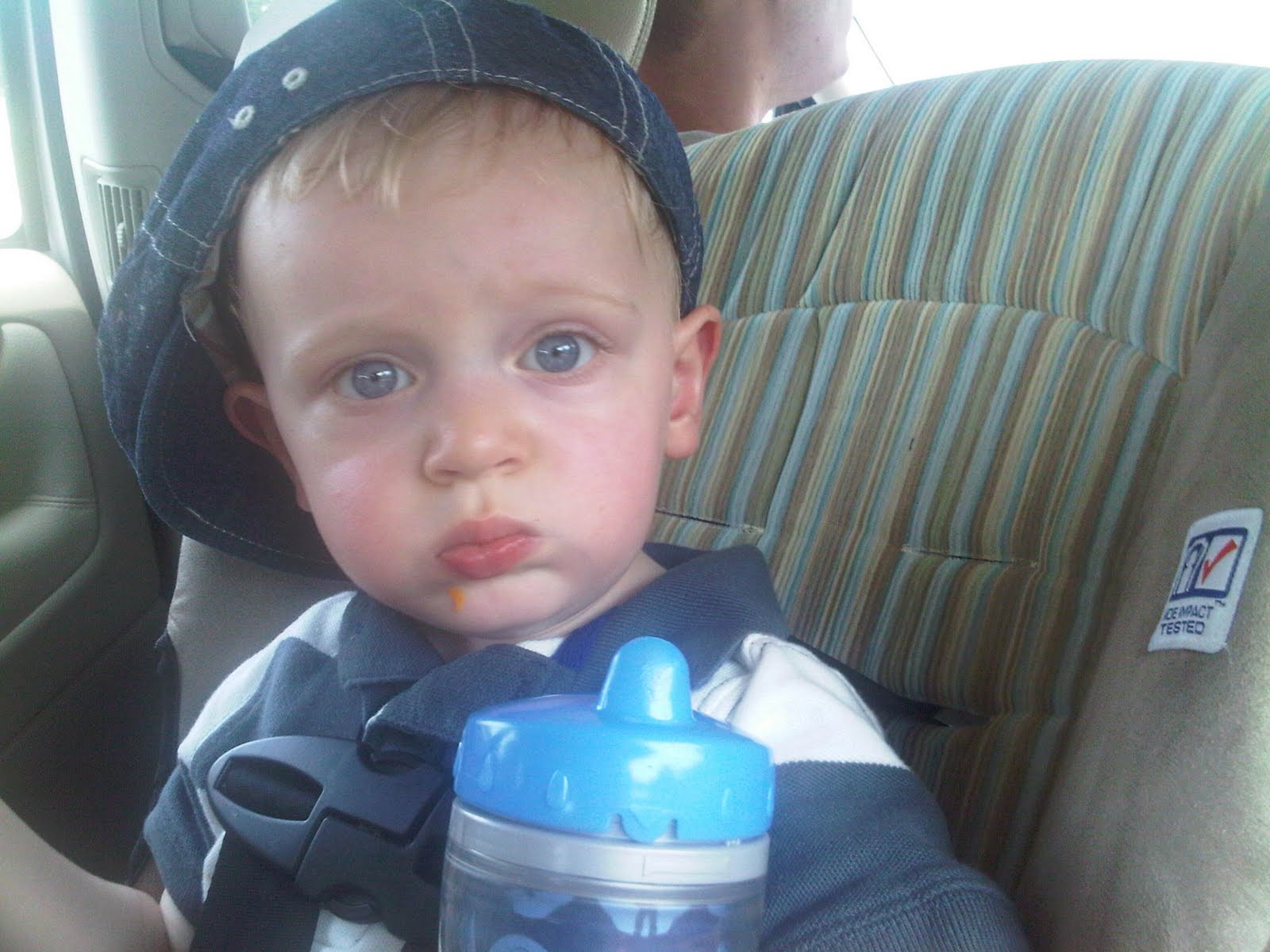 IMG00224-20110703-1216.jpg