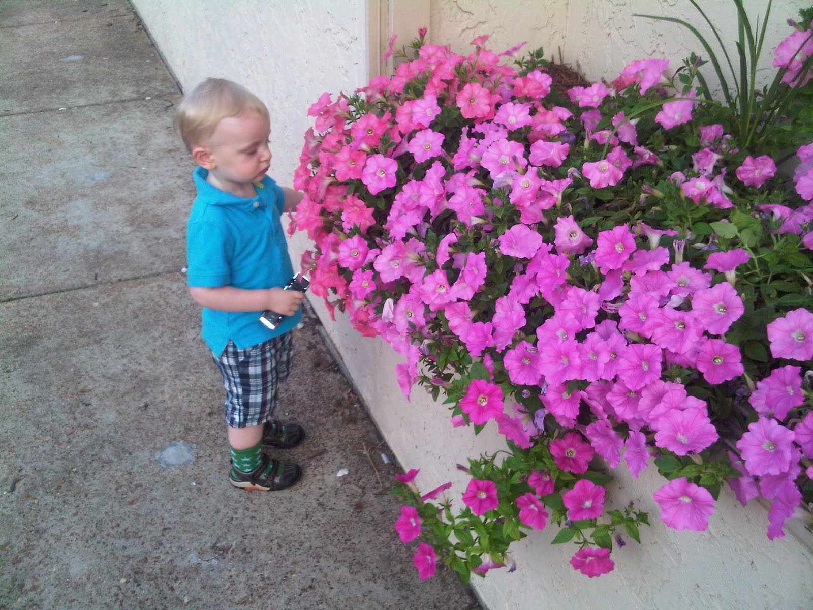Smelling the flowers