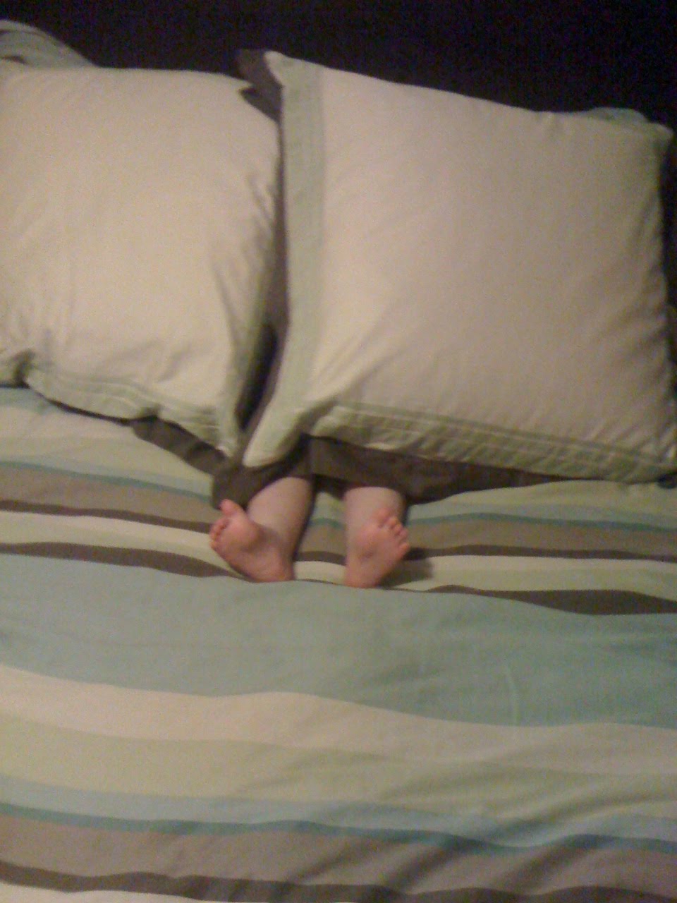 Hiding