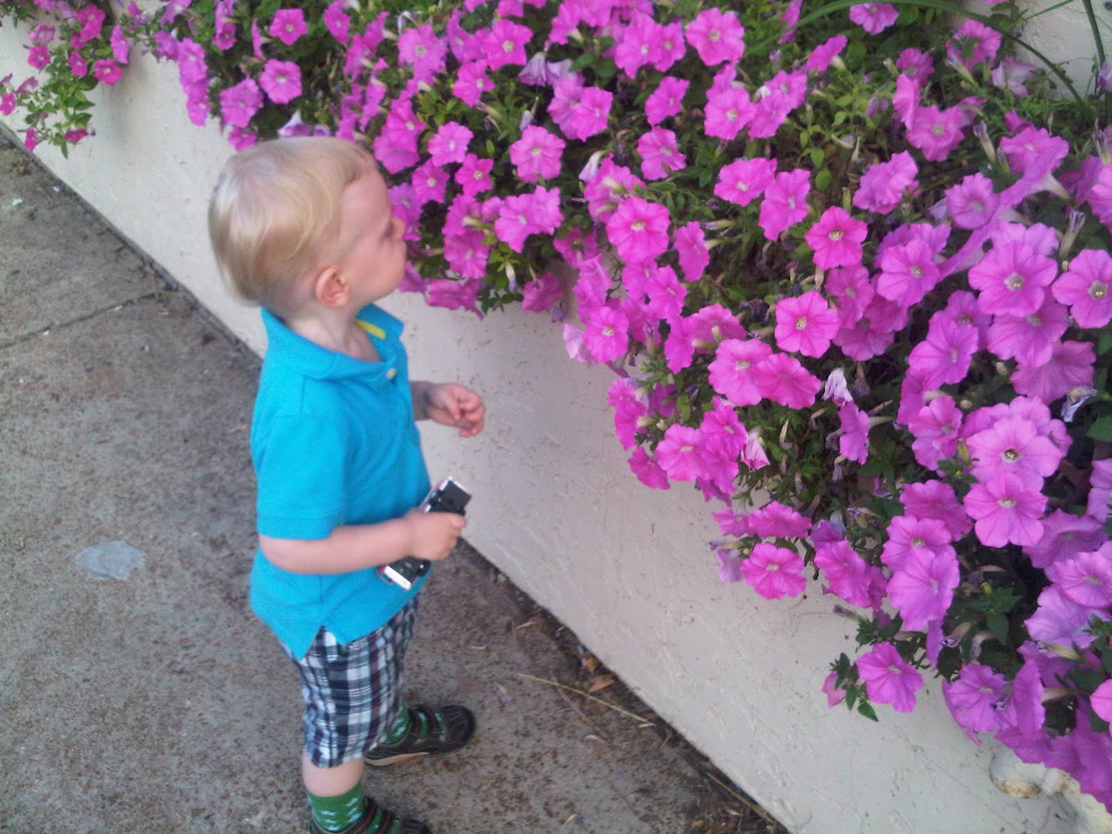 Smelling the flowers