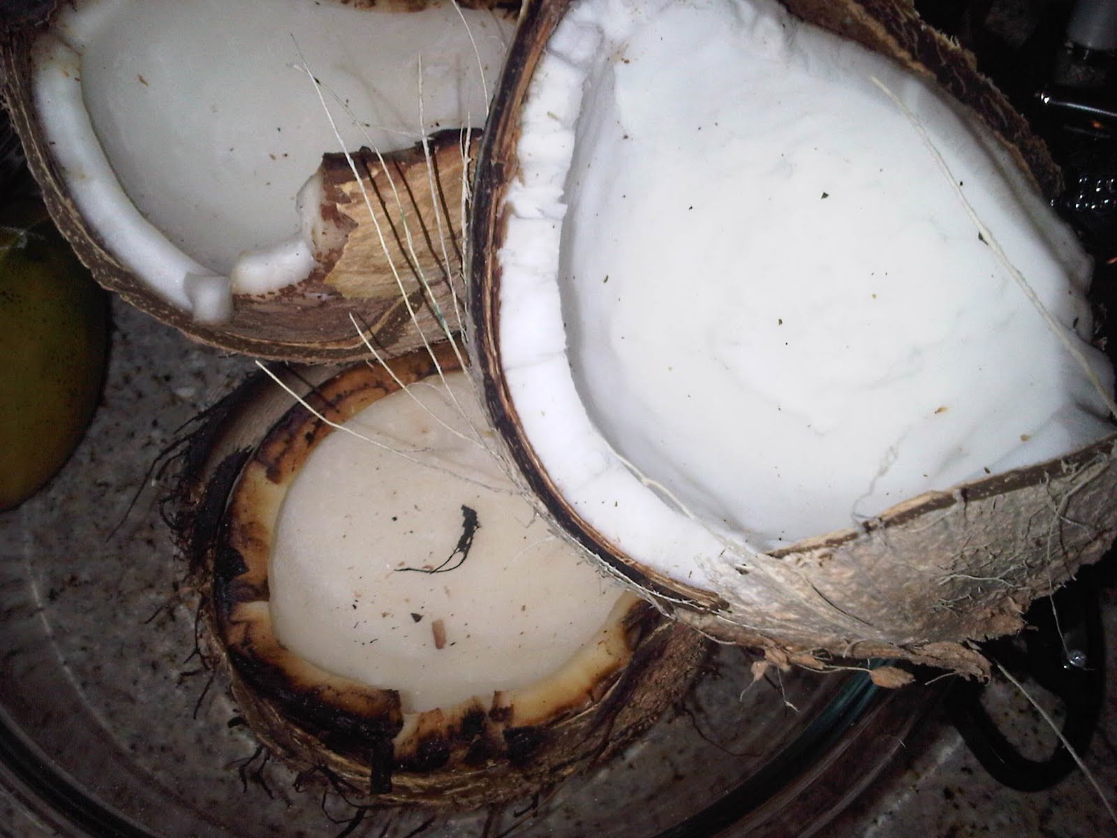 Grilled coconut