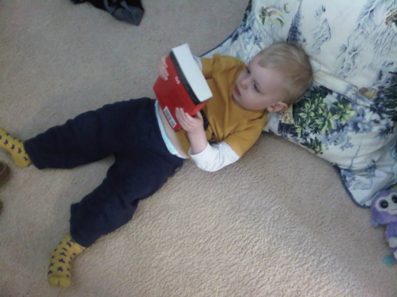 Contemplating the cover
