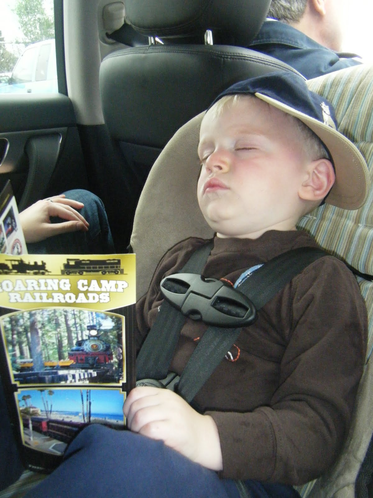 Dreaming about trains