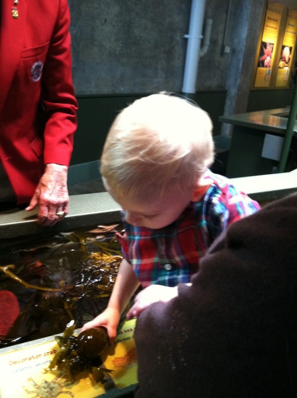Andy got to touch seaweed crabs starfish and sea cucumbers
