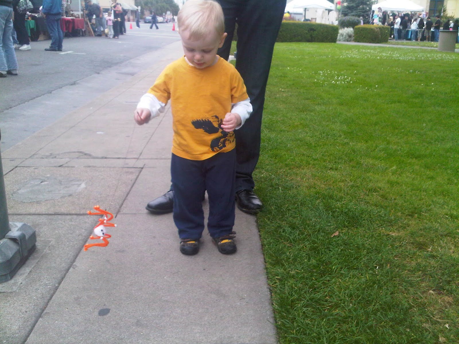 Spider at Watsonville Strawberry Festival