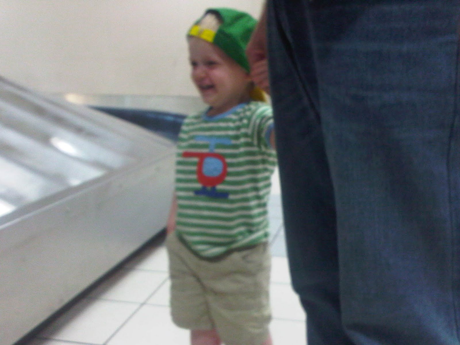 Funny luggage
