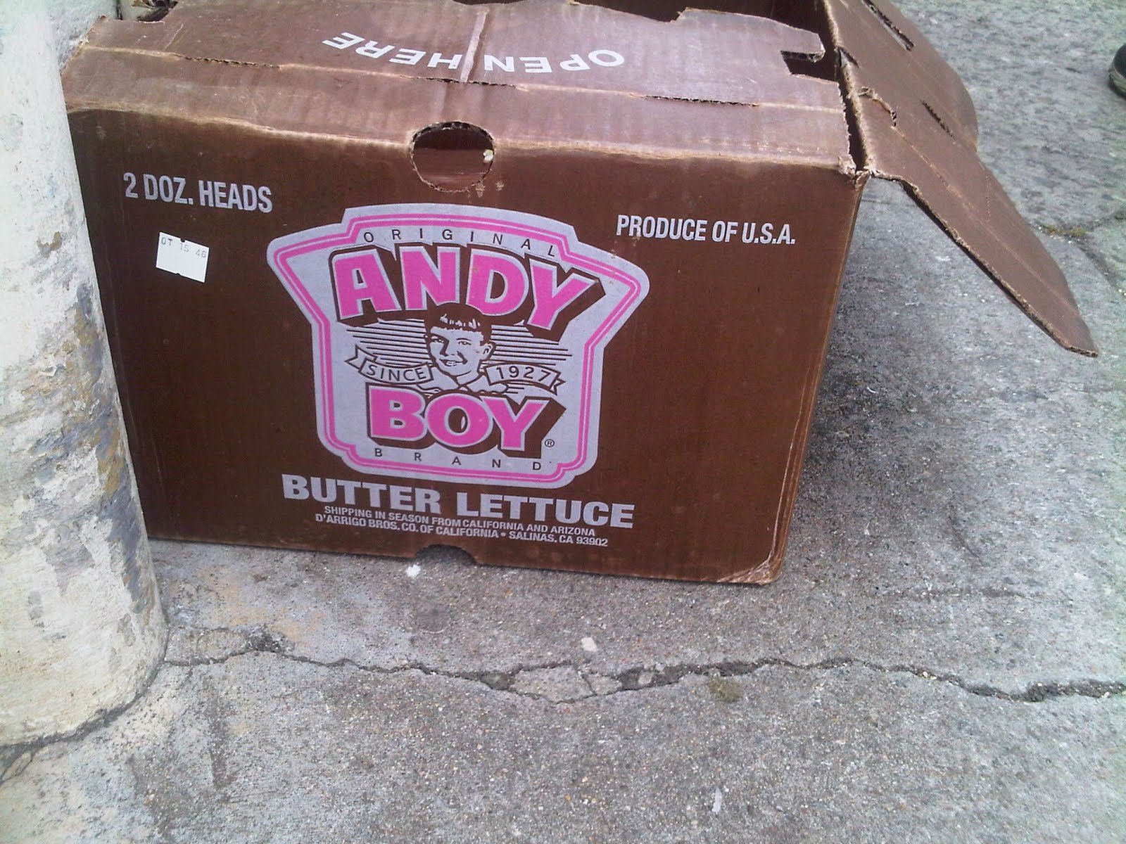 Andy Boy
