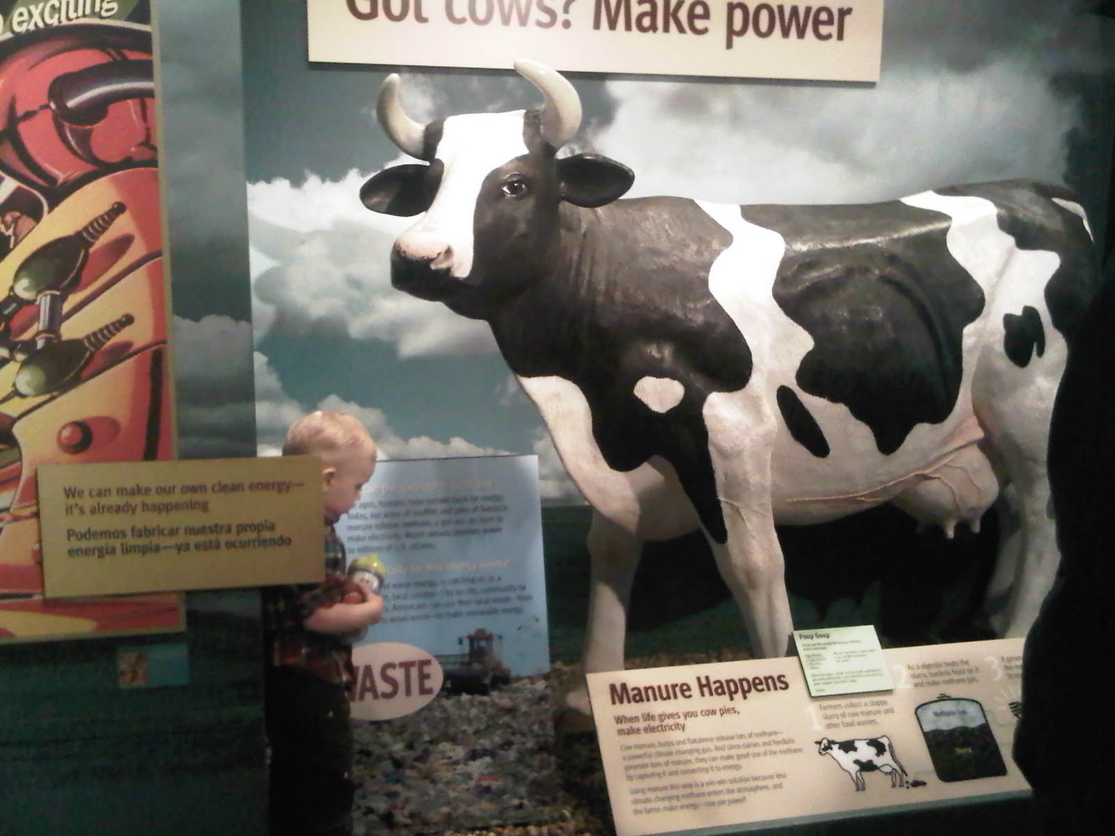 Andy in cow exhibit. Don't know why there was a cow exhibit at the aquarium.