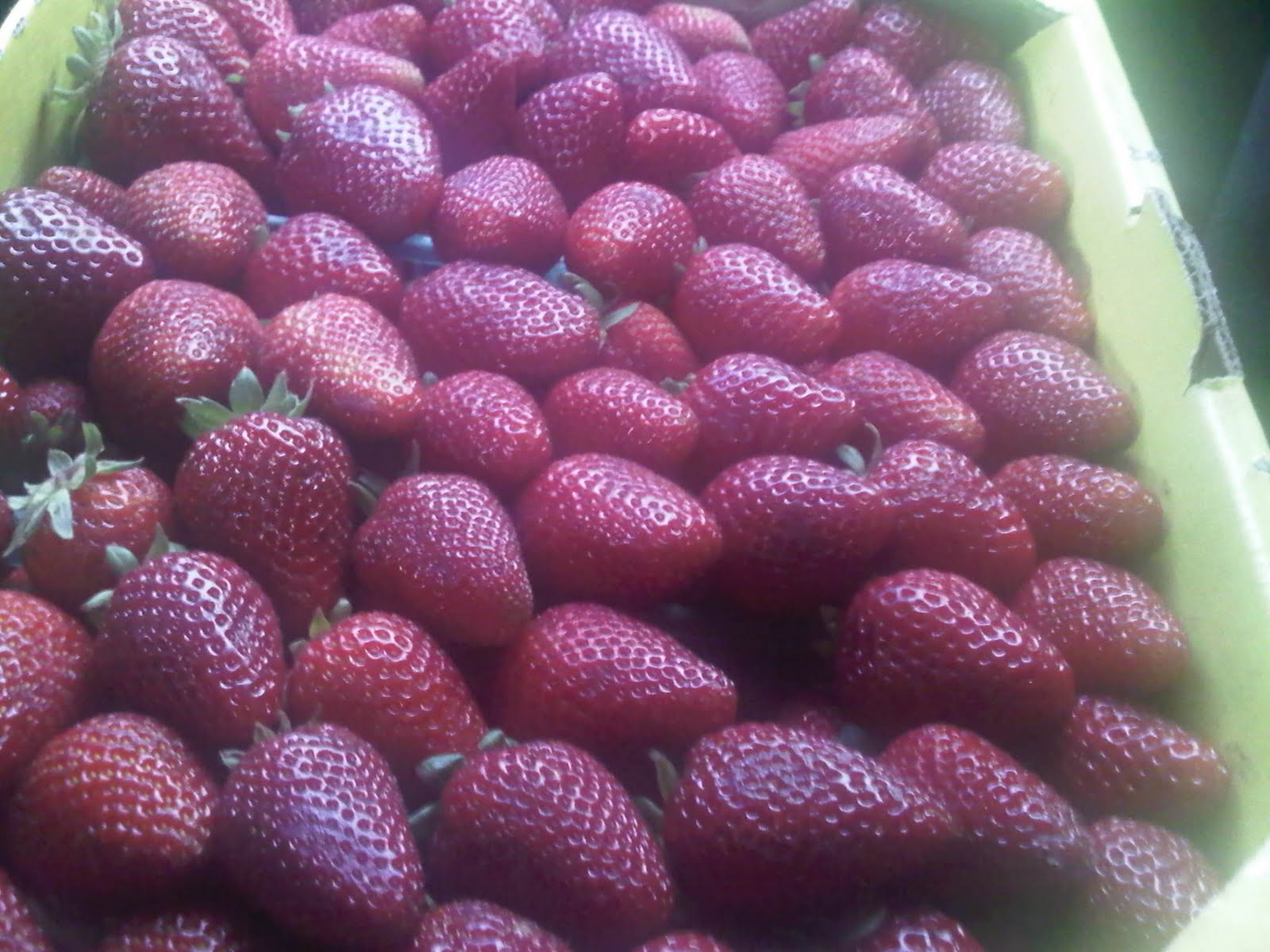 Organic Strawberries