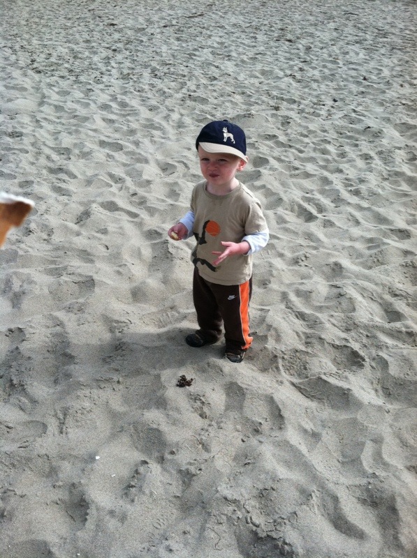 The beach