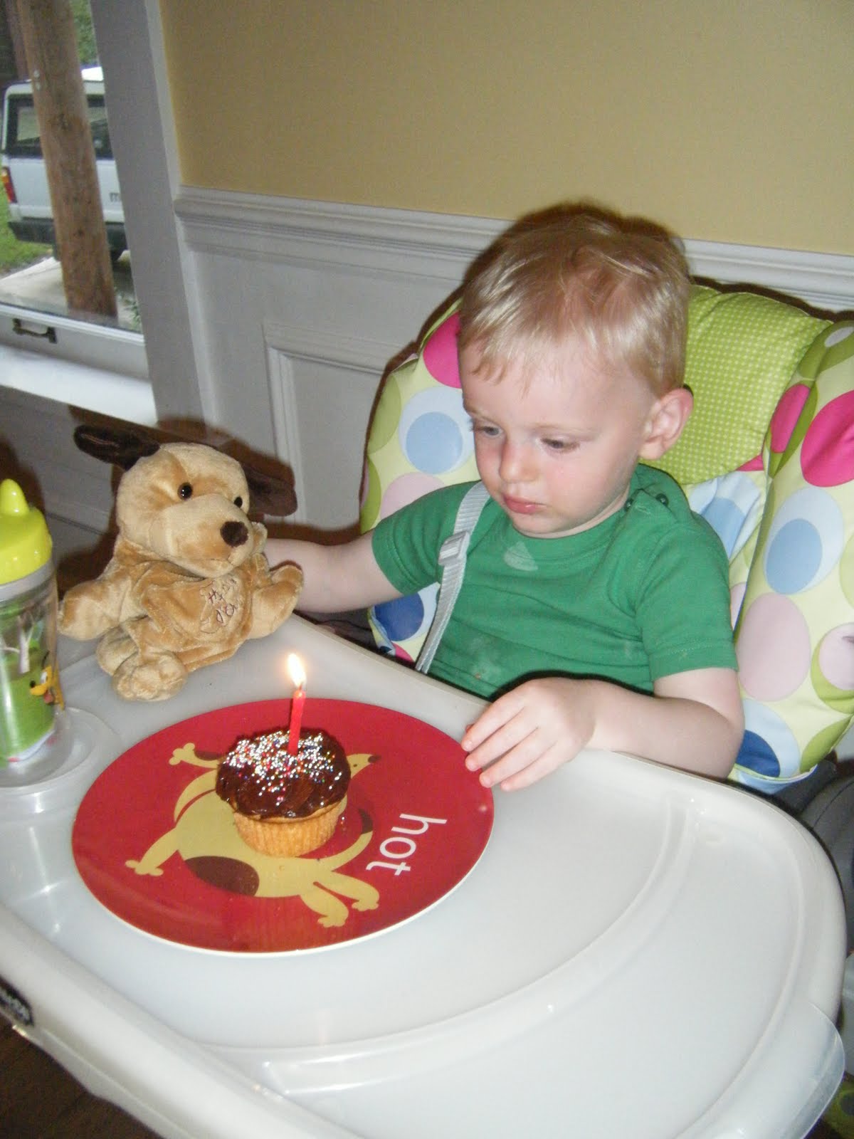 Birthday Cupcakes!