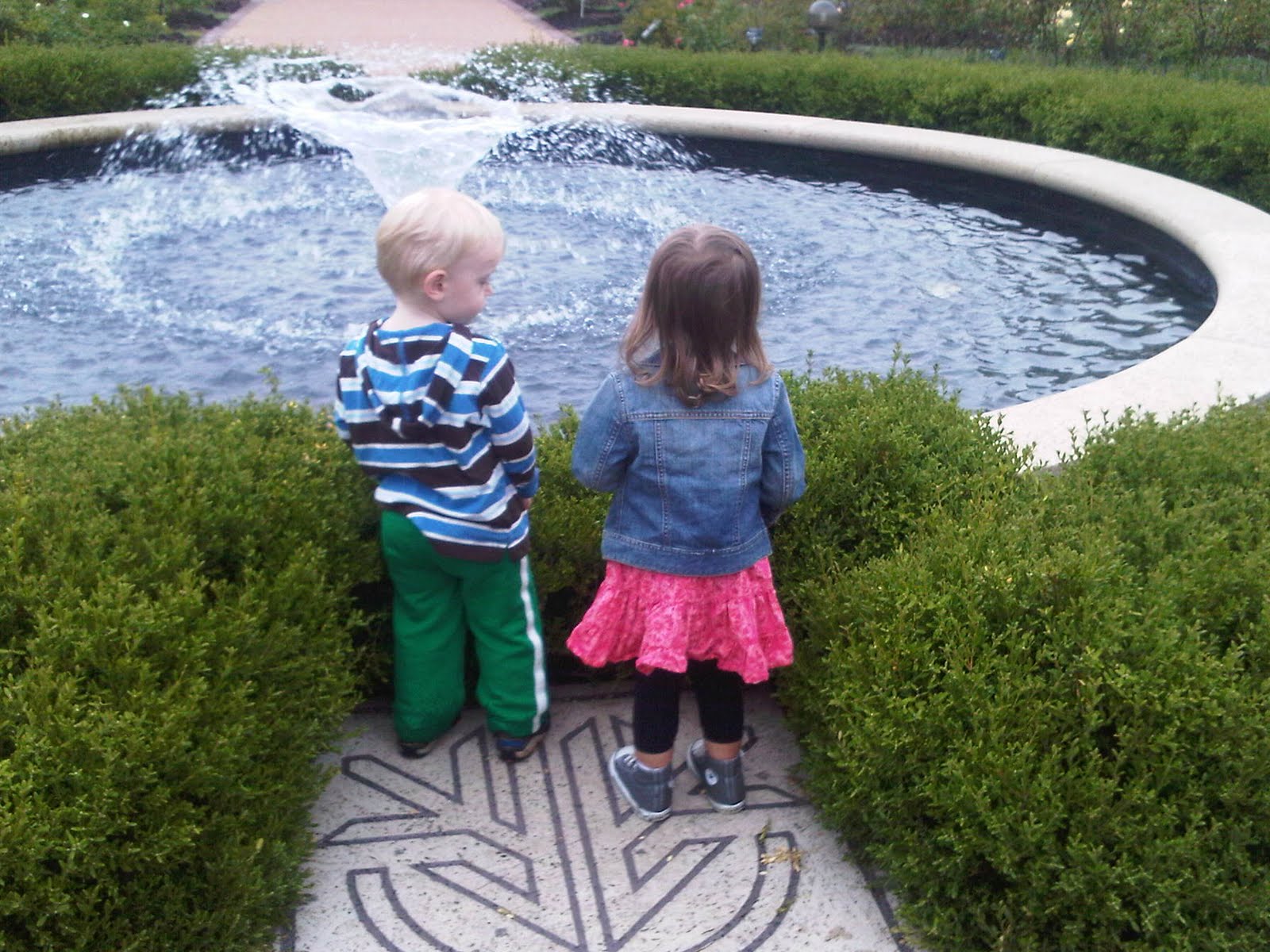 Looking at the fountain