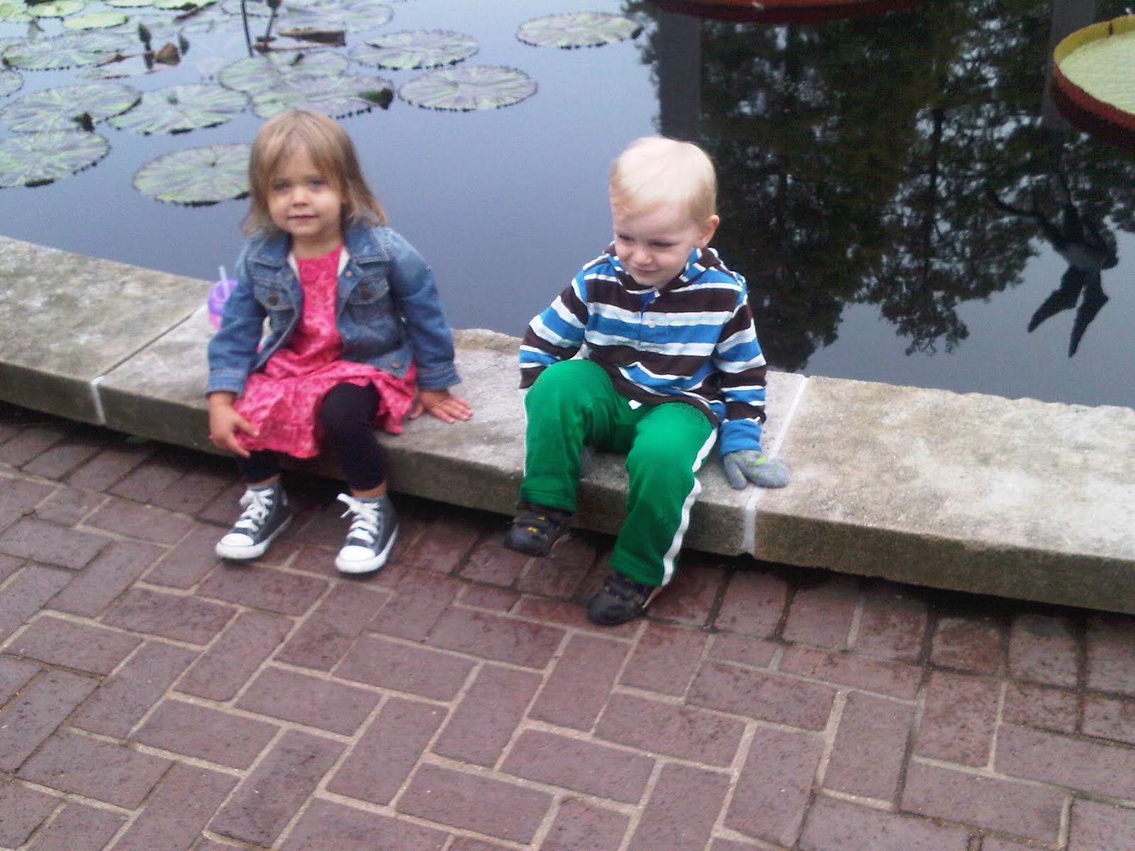 Friends