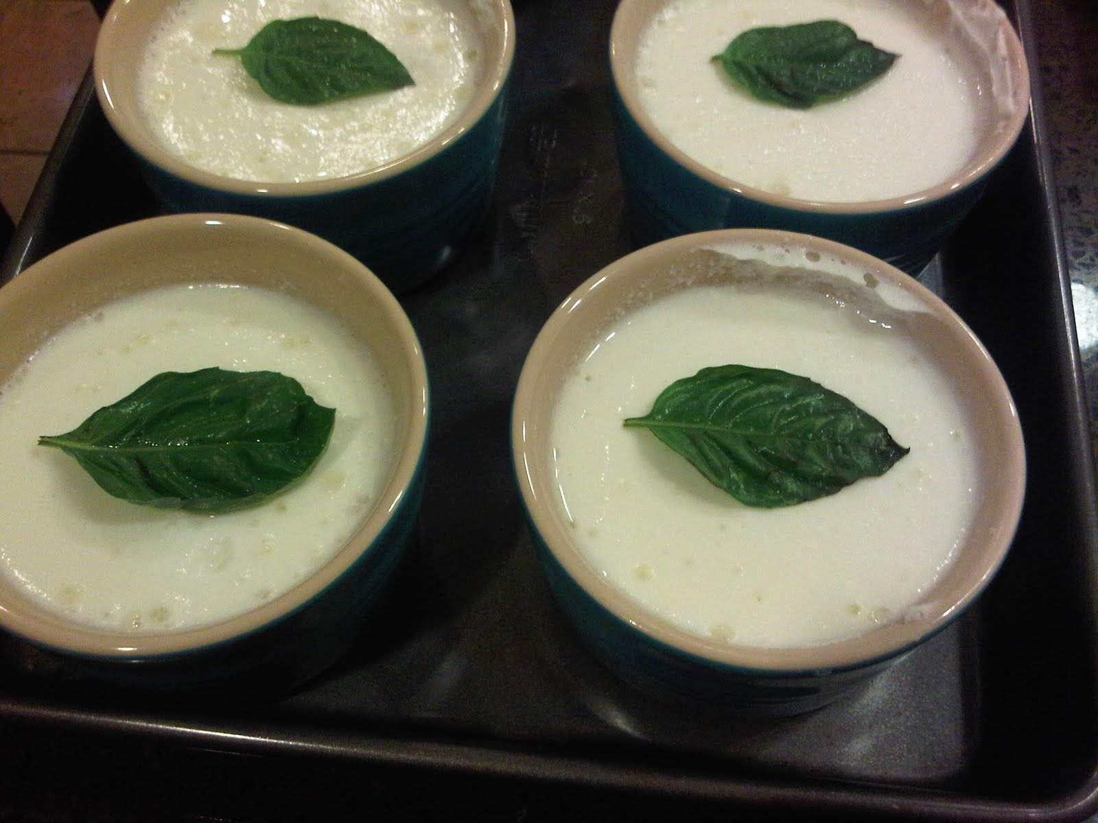 Matts goat cheese panna cotta