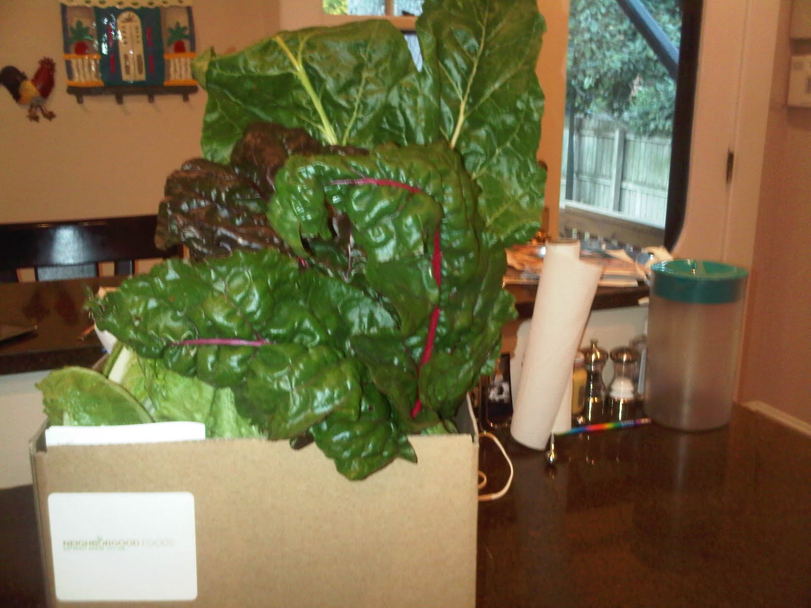 Neighborgood Swiss Chard