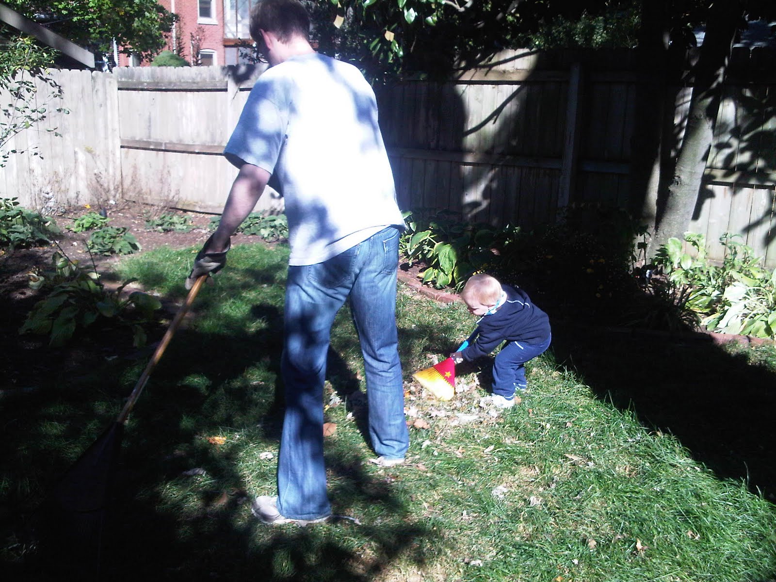 Raking leaves