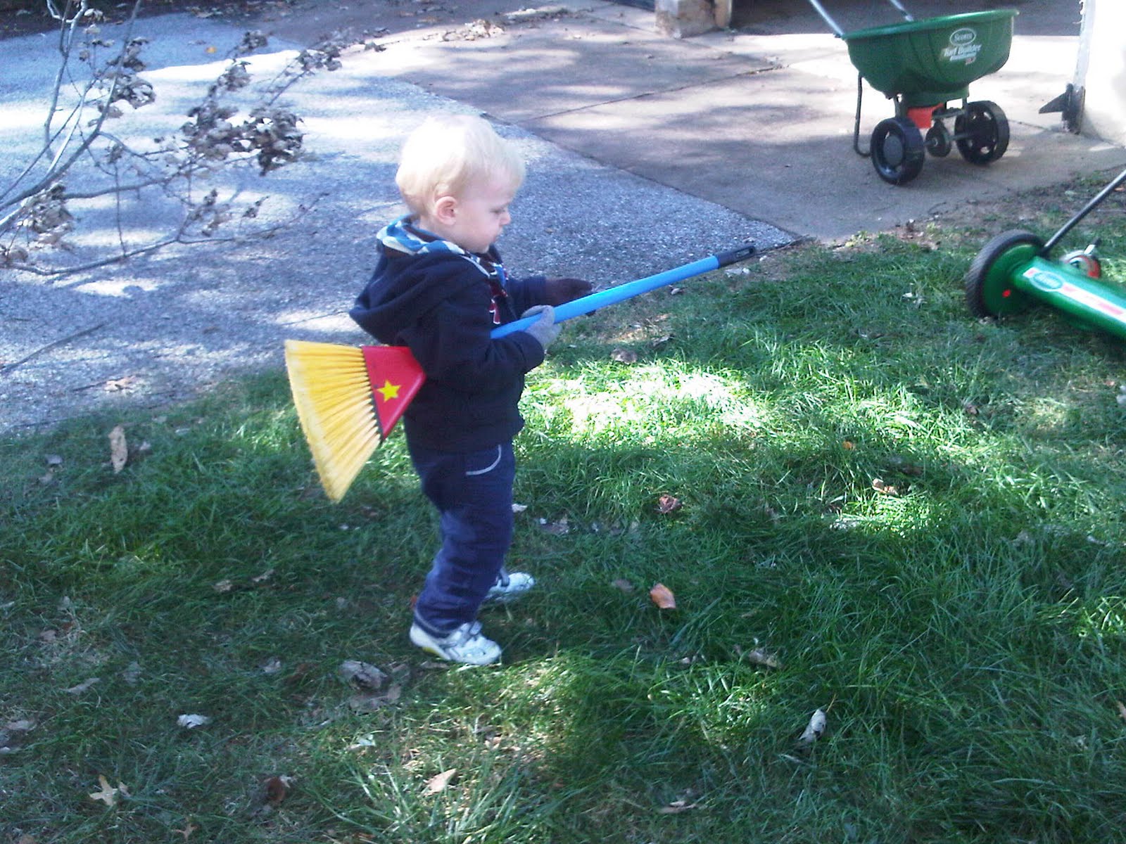 Weed whacking