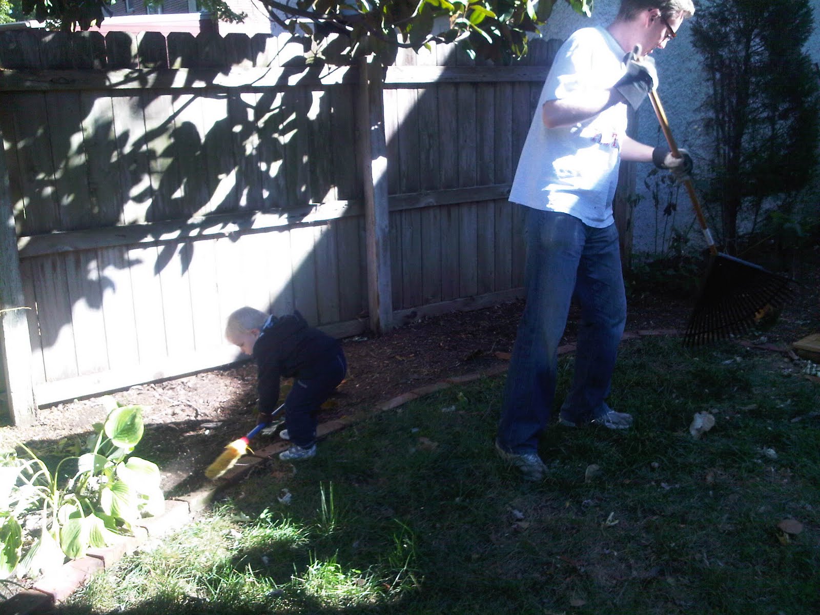 Busy boys