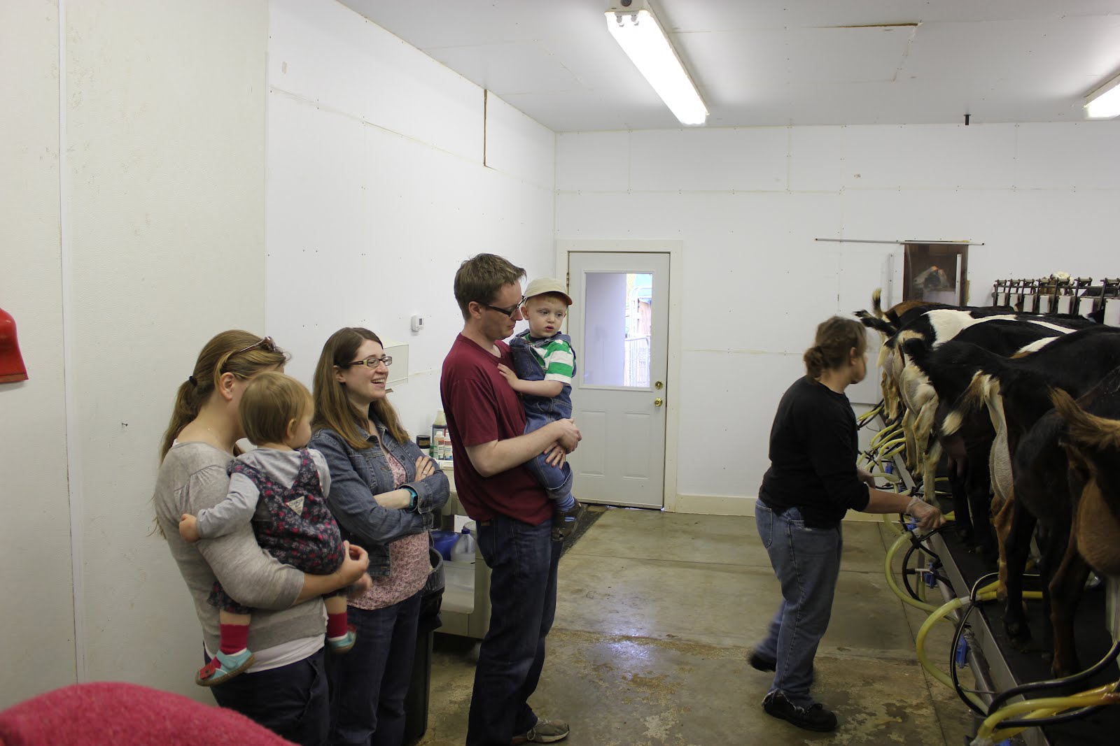 Milking the Goats