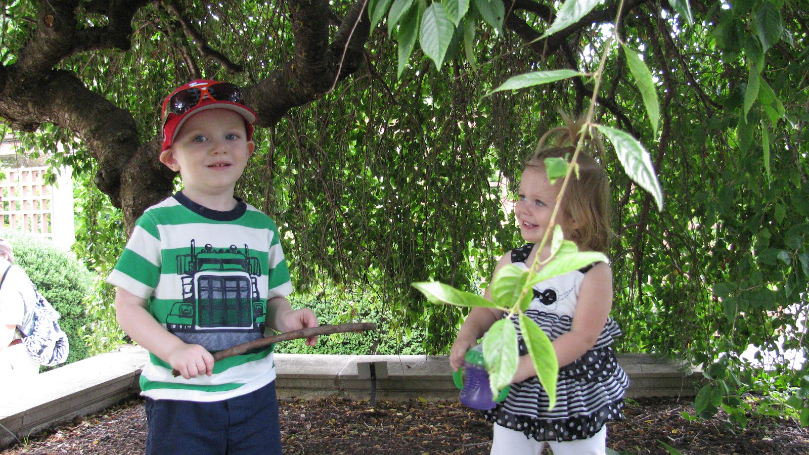 Pictures N'Goundo and Miguel took of our visit to the botanical gardens with Zac, Corinne, and Sofia (21 months)