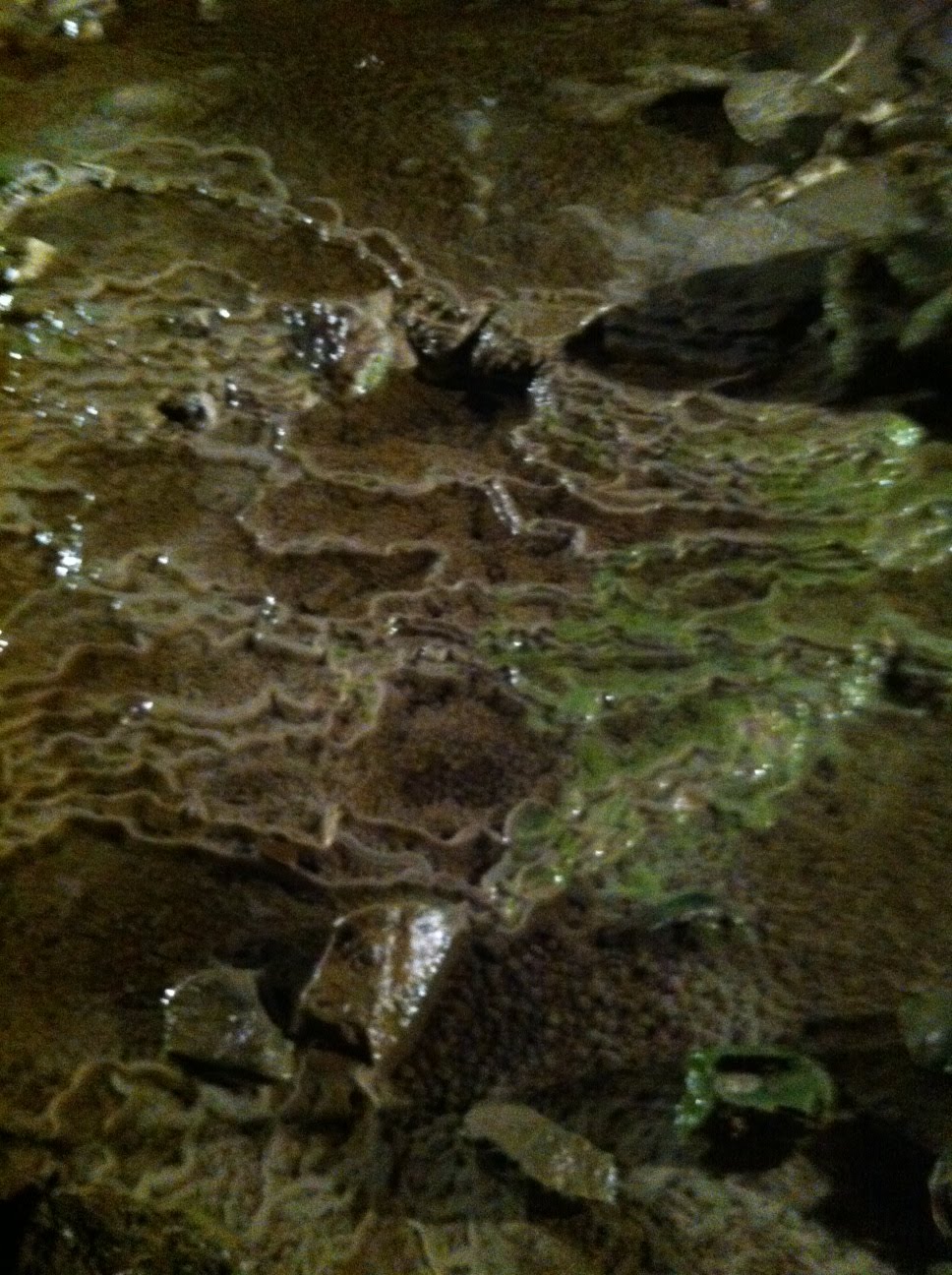 Calcium deposits
