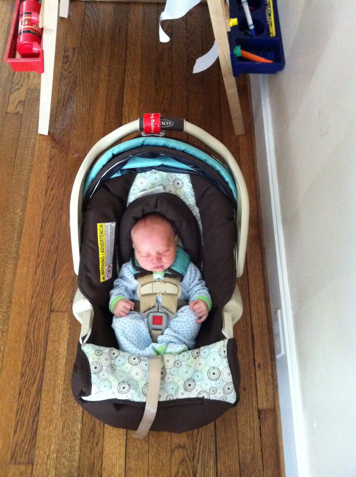 Charlie is home and ready to sleep!