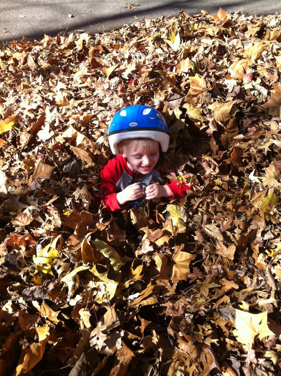 Found leaves