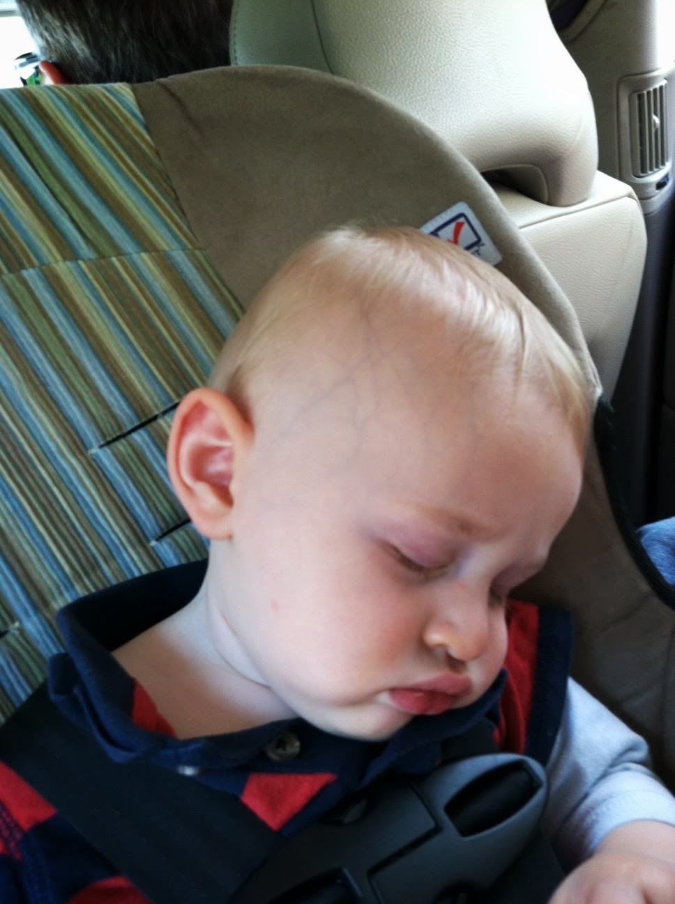 (untitled)