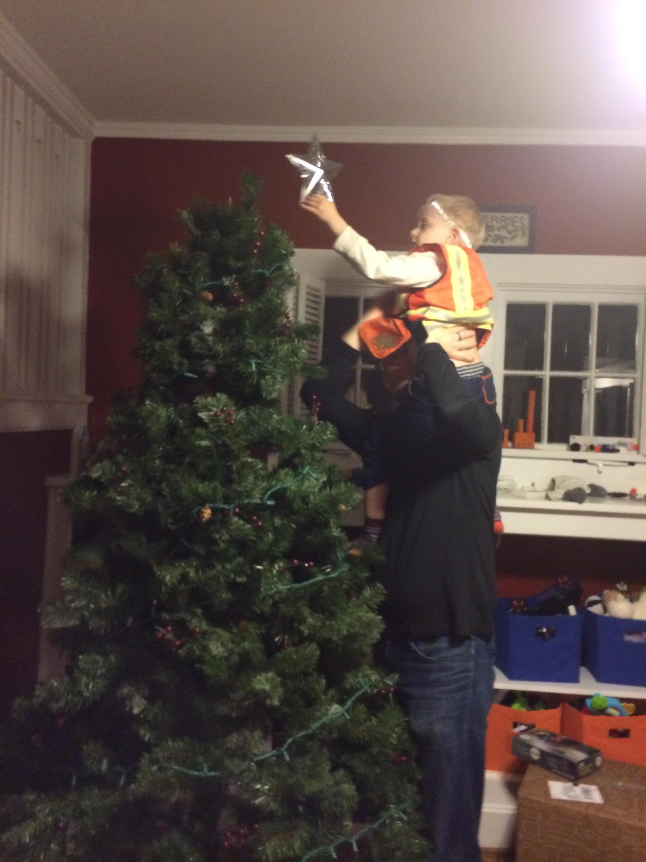 Tree trimming